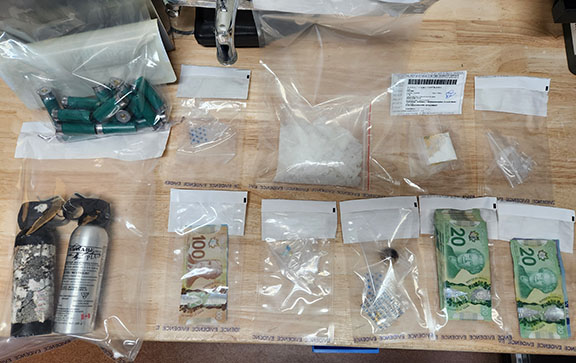 Photo of seized items 2