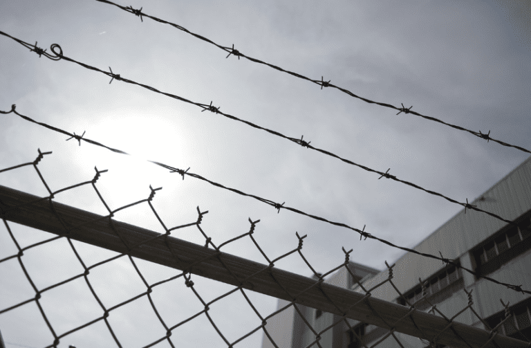 Screen Shot 2023-12-08 at 6.48.21 AM