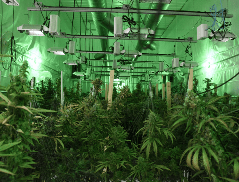 Screen Shot 2023-12-12 at 5.39.47 AM