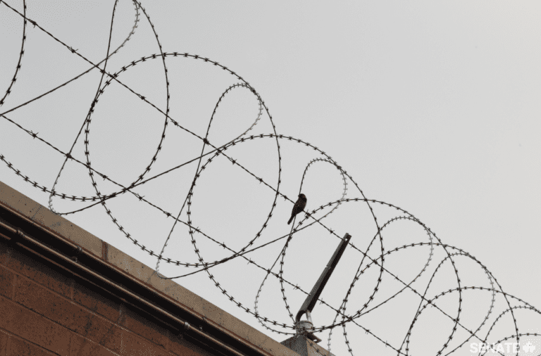 Edmonton prison / Senate photo