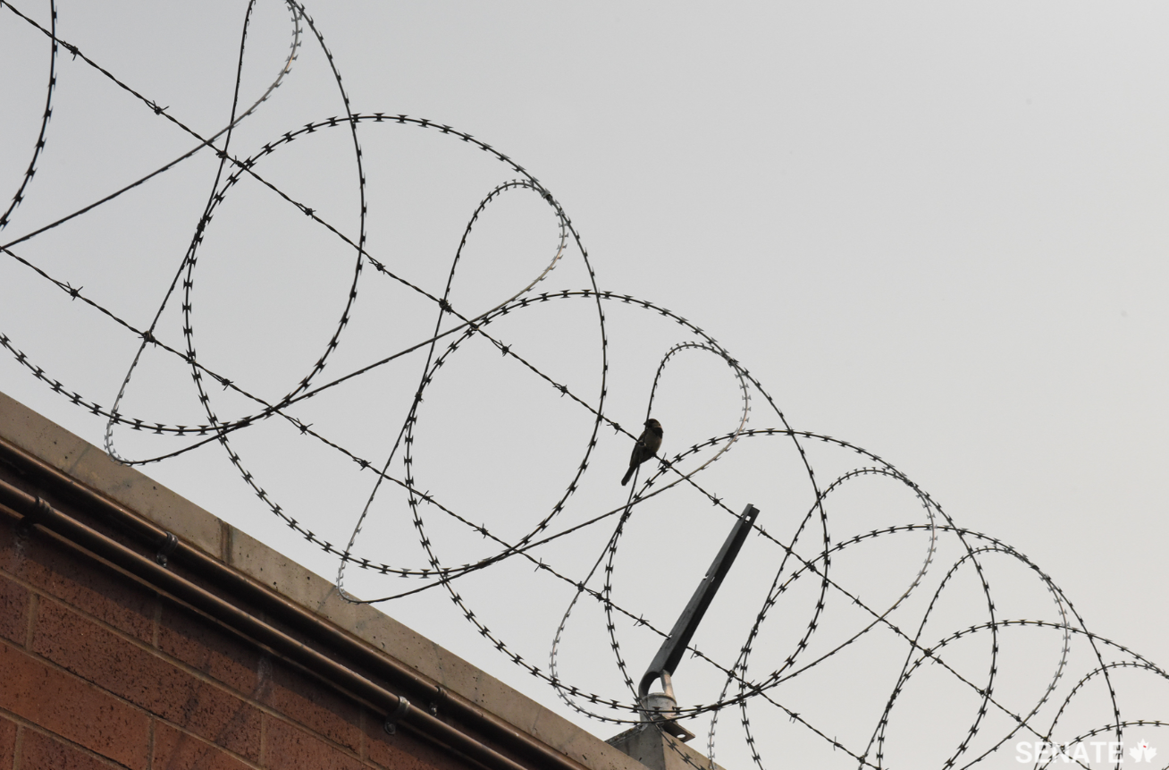 Edmonton prison / Senate photo
