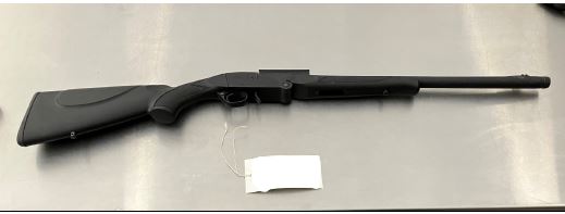 Parkland Gun