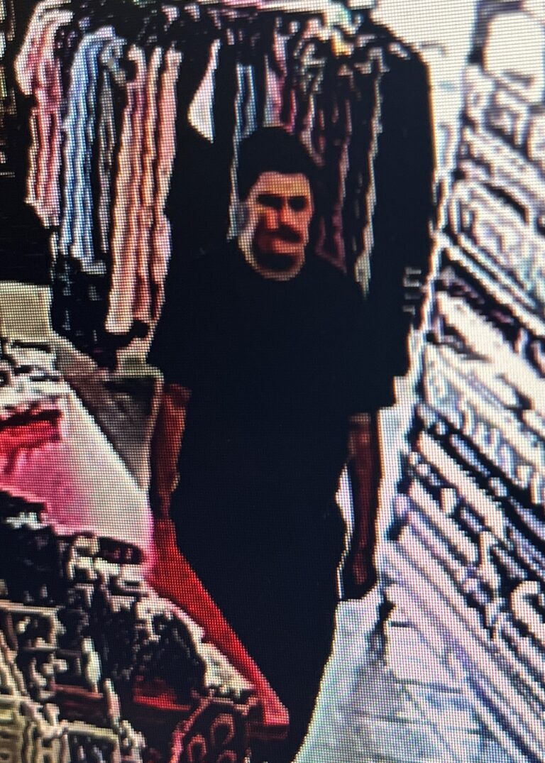 Dollar Store Theft Suspect (1)