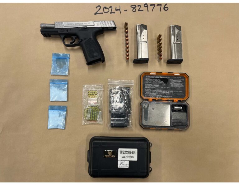 Traffic Stop Seizure
