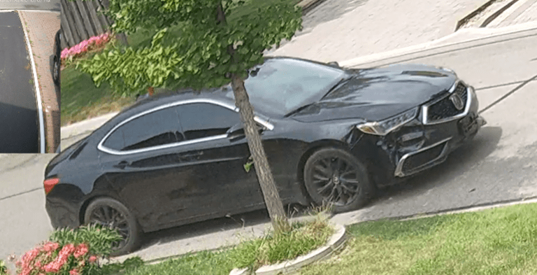 Screen Shot 2024-08-07 at 8.50.14 AM