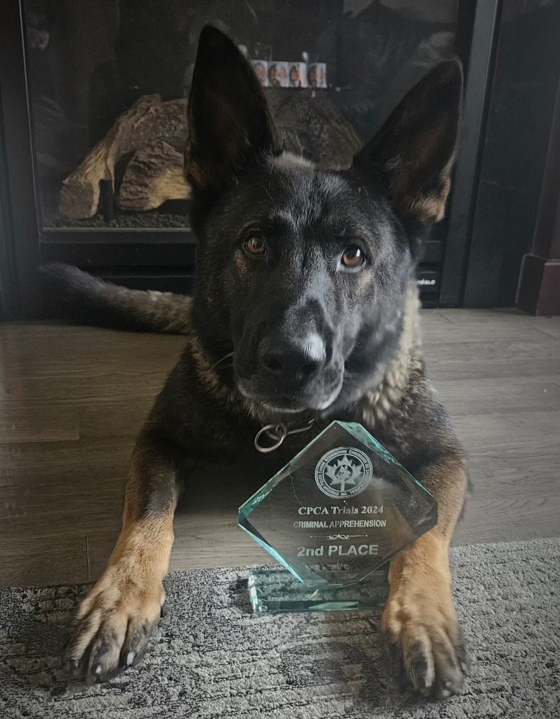 465371018_961200662709657_3176533959485849993_n