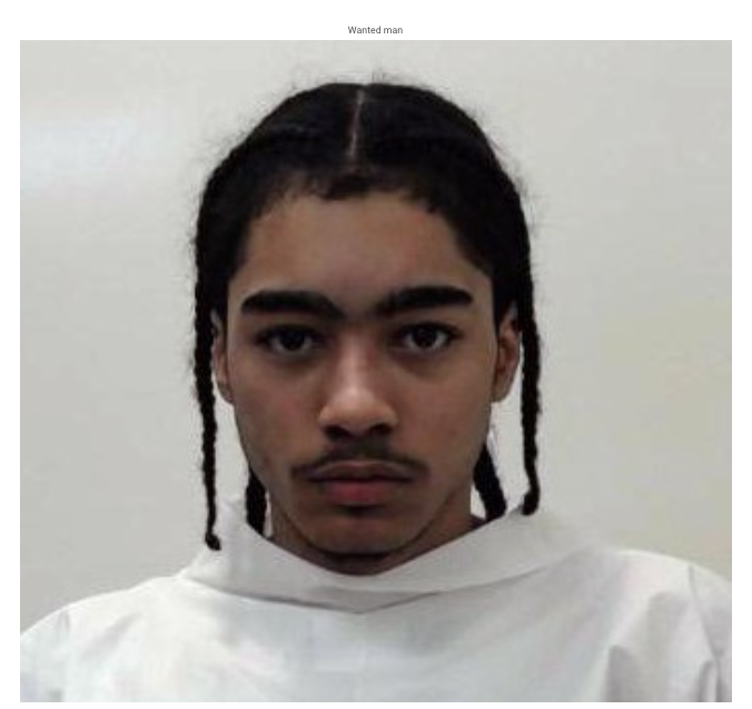 Screen Shot 2024-11-24 at 6.48.11 AM