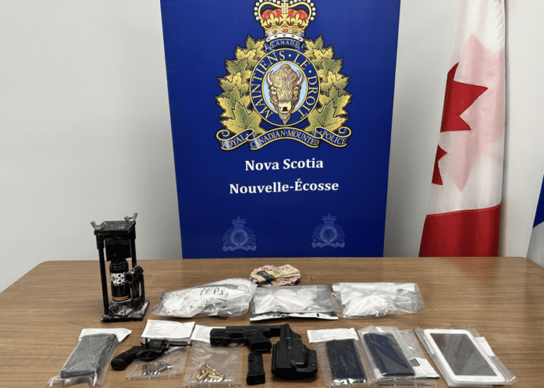 Screen Shot 2024-11-24 at 7.01.36 AM