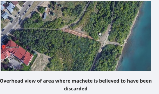 Screen Shot 2024-11-29 at 4.11.29 PM