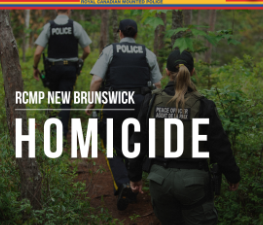 Screen Shot 2024-11-29 at 7.15.05 AM