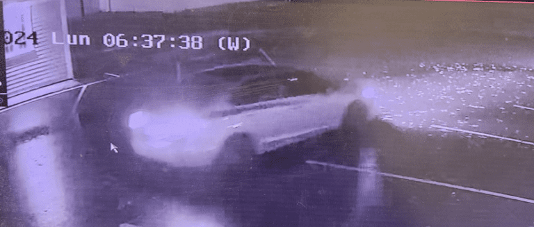 Screen Shot 2024-12-01 at 9.54.37 AM