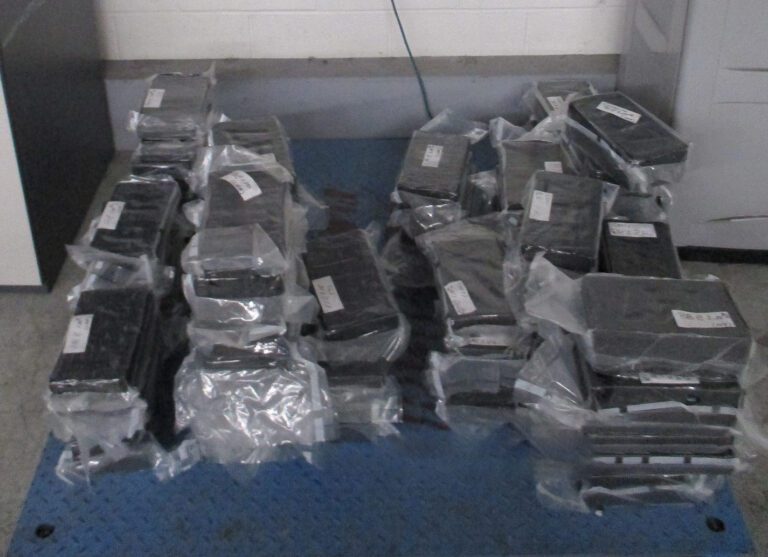 2025-03-08 - Seizure