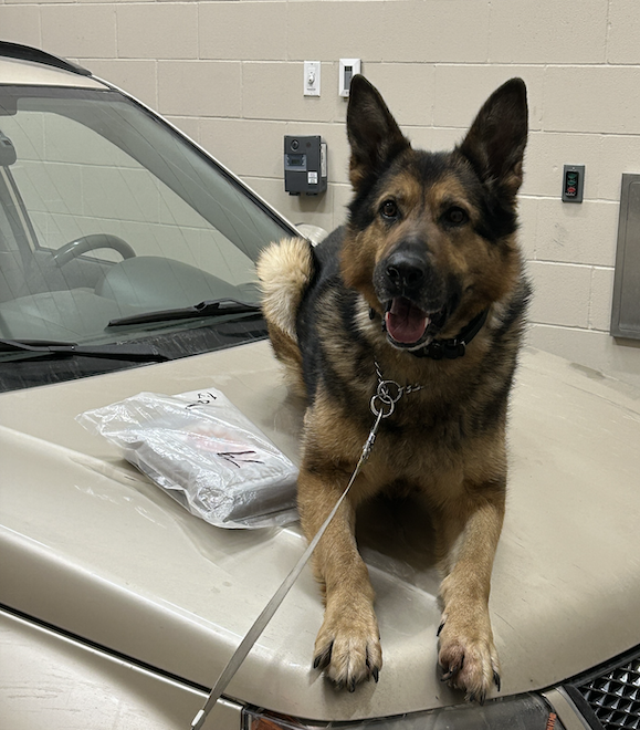 Screen Shot 2025-03-21 at 6.30.32 PM