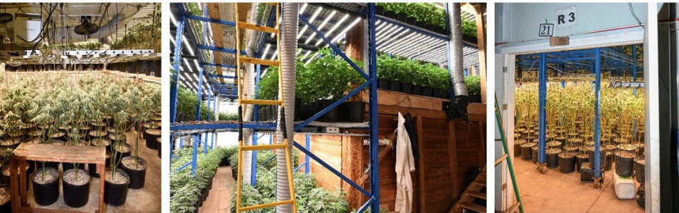 Screen Shot 2025-04-02 at 7.06.14 AM