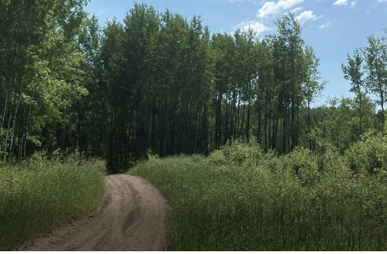 Screen Shot 2025-04-23 at 10.05.40 PM