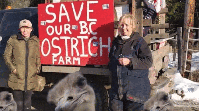 Screenshot 2025-09-25 at 7.04.03 AM