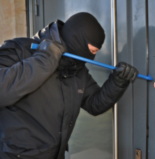 thief burglar
