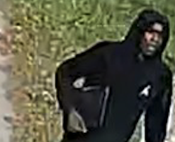 Screenshot 2025-10-14 at 10.01.59 AM