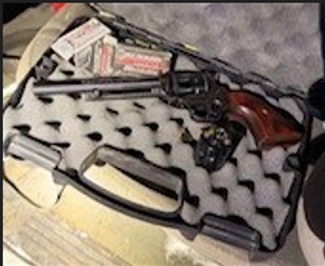 Parkland stolen firearm