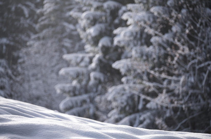 Screenshot 2025-12-14 at 8.00.12 AM