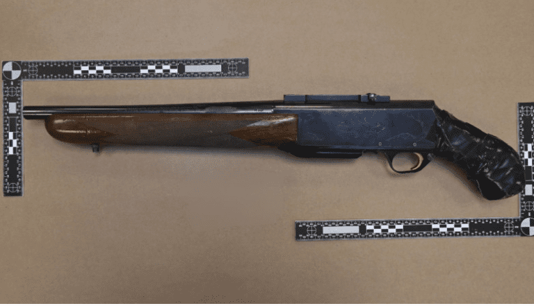 Screenshot 2026-03-01 at 9.47.22 AM