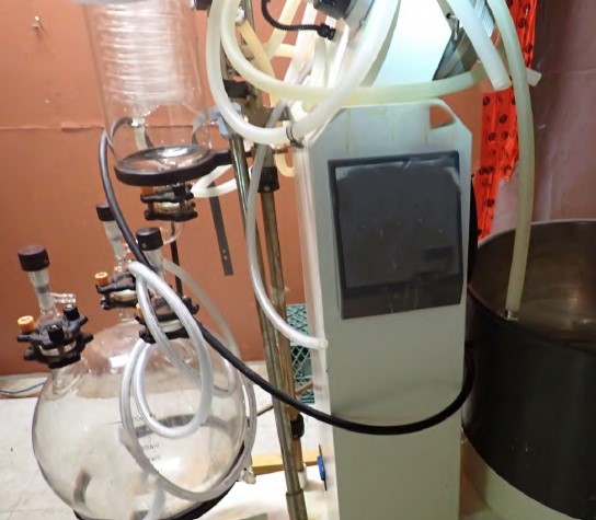 Colinton Clan Lab Photo 4