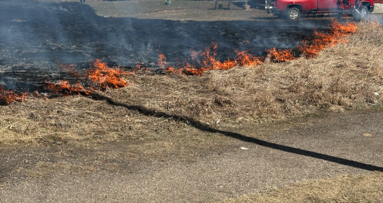 Screenshot 2026-04-22 at 7.28.18 AM