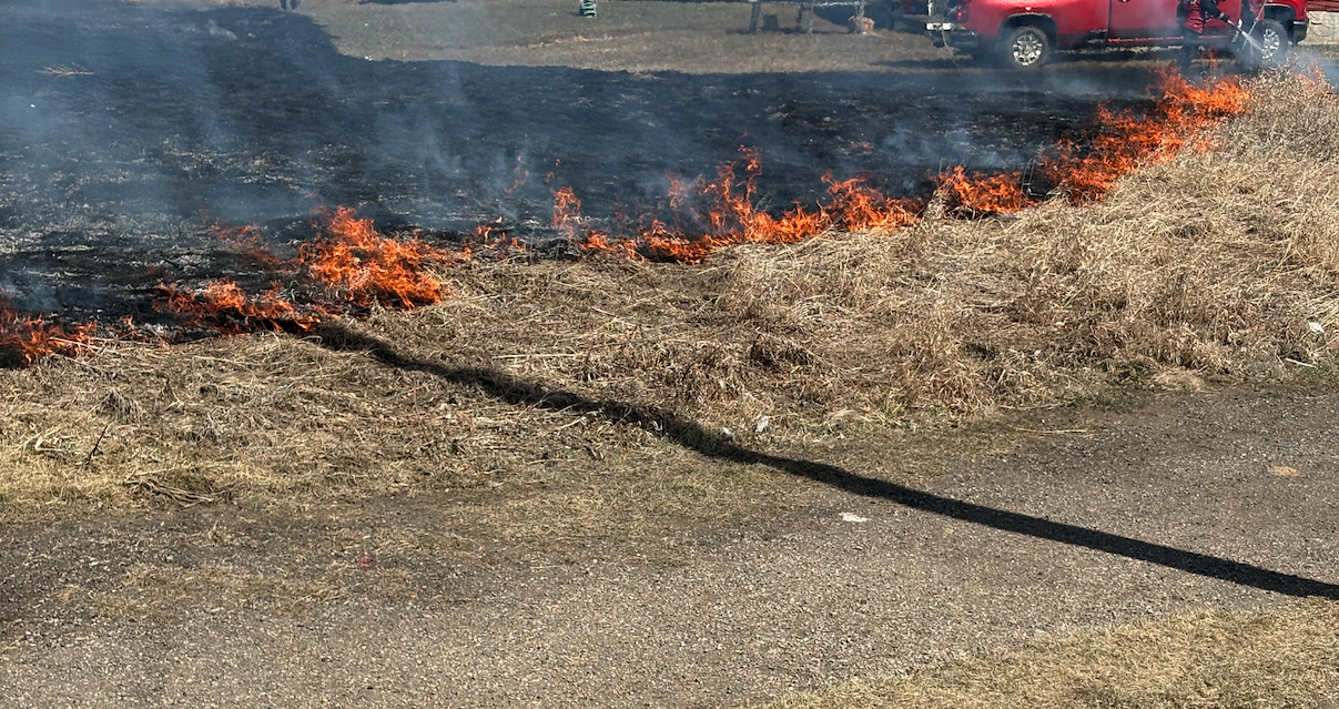 Screenshot 2026-04-22 at 7.28.18 AM