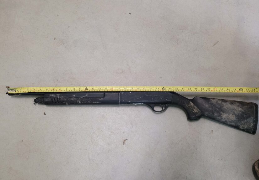 Firearm (WAD CRU)