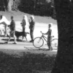 Video surveillance image