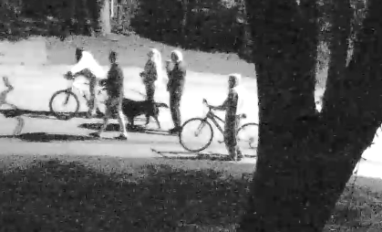 Video surveillance image